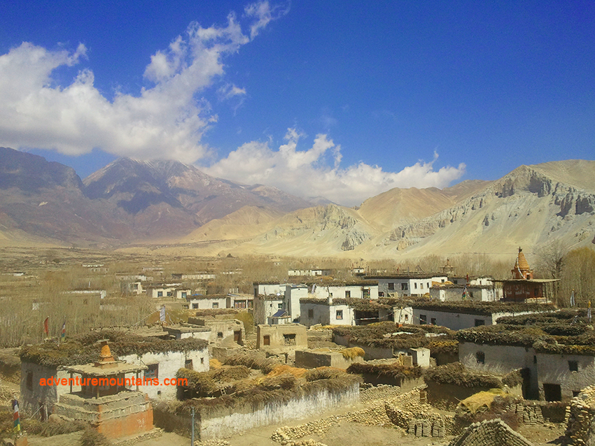 Mustang Teri la pass Trek